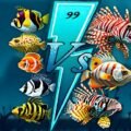 Aqua Fish Rush - Jugar gratis online